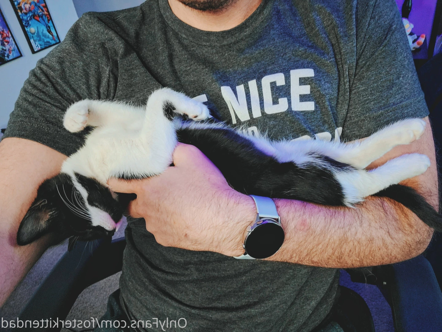 Foster Kitten Dad [ fosterkittendad ] Onlyfans leaked photo 11565710 on Hotleaks.tv