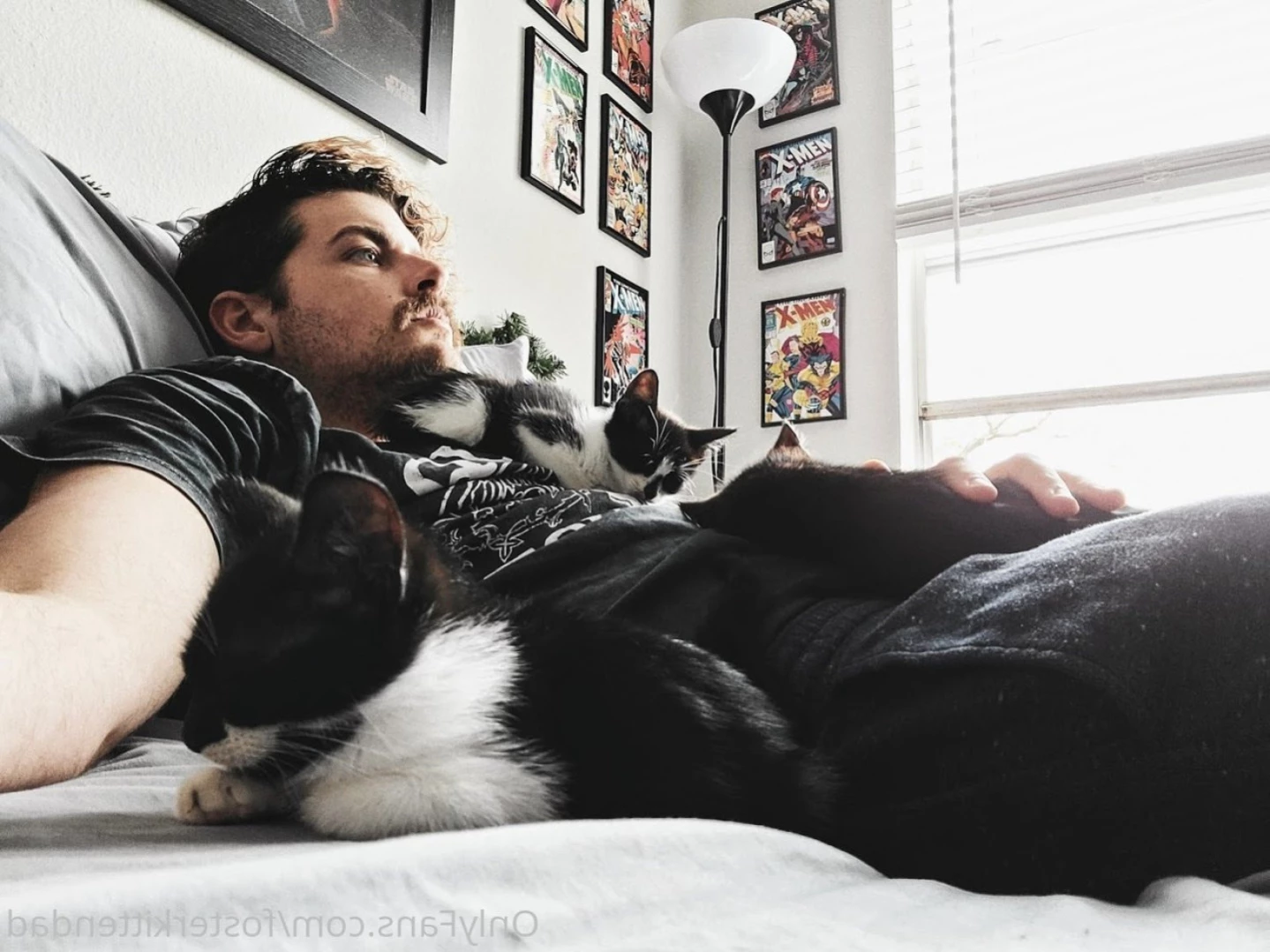 Foster Kitten Dad [ fosterkittendad ] Onlyfans leaked photo 11565897 on Hotleaks.tv