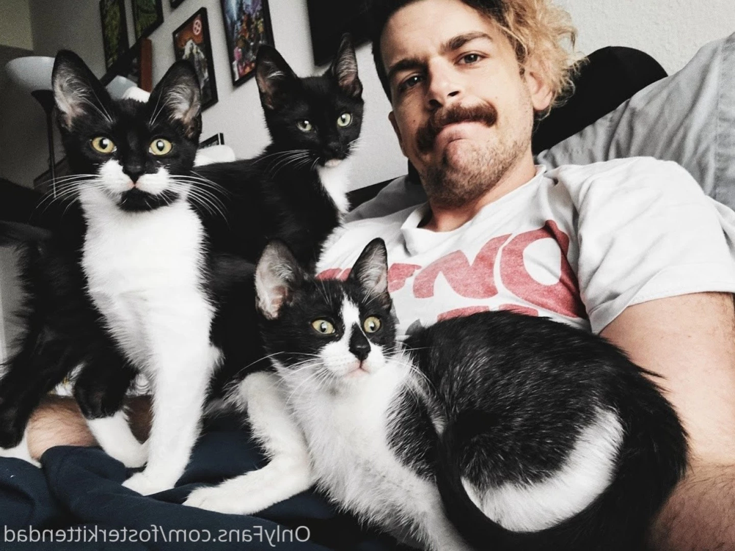 Foster Kitten Dad [ fosterkittendad ] Onlyfans leaked photo 11566077 on Hotleaks.tv