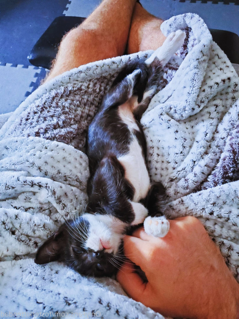 Foster Kitten Dad [ fosterkittendad ] Onlyfans leaked photo 12299338 on Hotleaks.tv