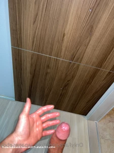 12735853