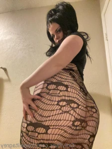 11591627