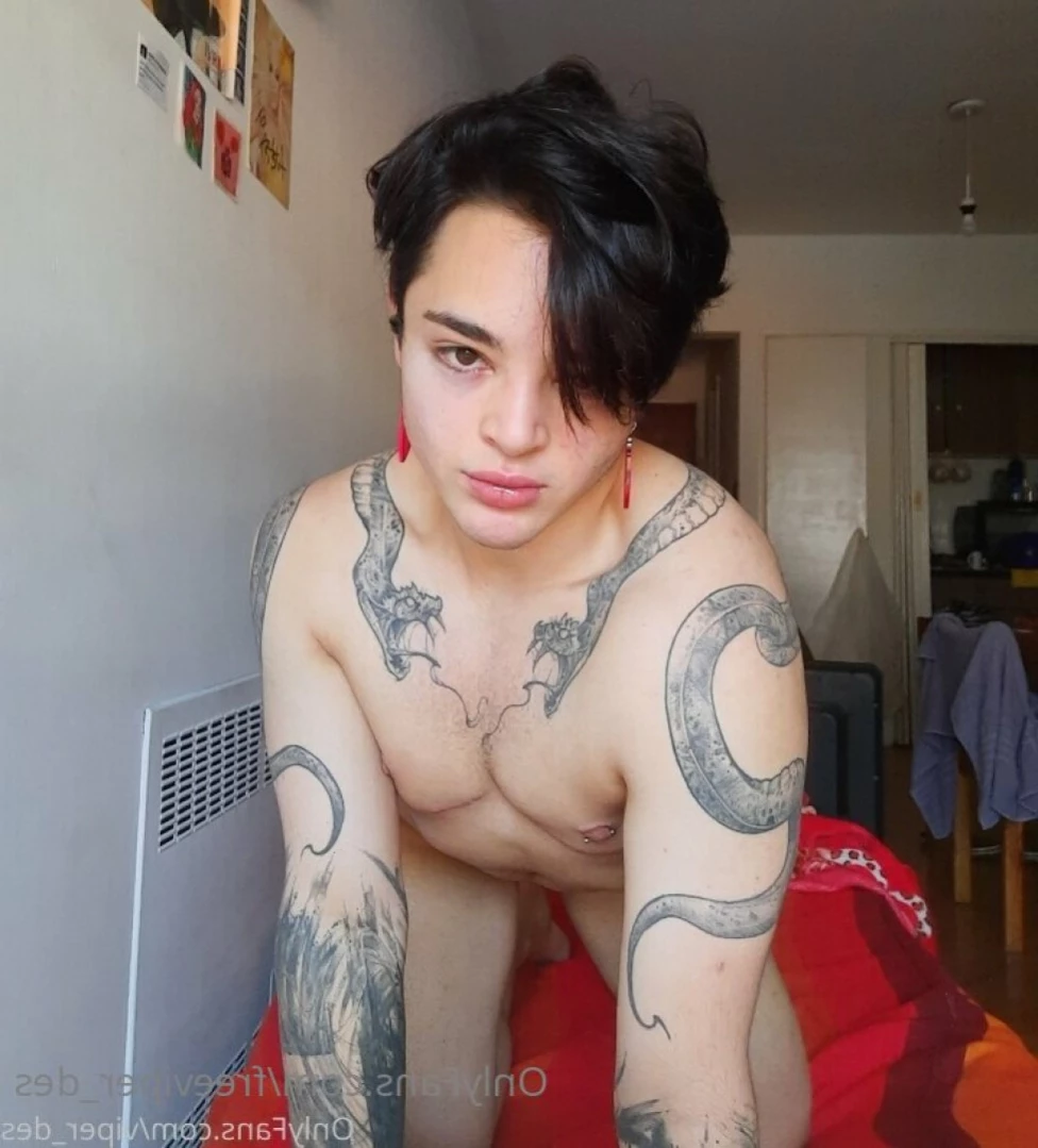 Viper 🐍 [ freeviper_des ] Onlyfans leaked photo 14381160 on Hotleaks.tv