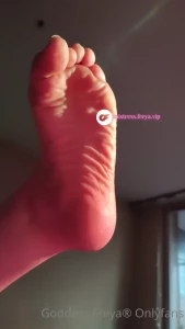 15882674