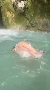Gina [ gbhoney ] Onlyfans leaked video 18440921 on Hotleaks.tv