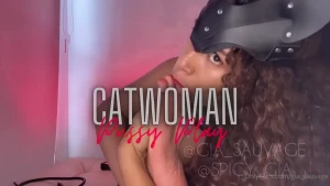 15761823