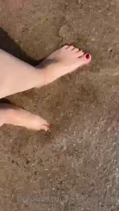 14275993