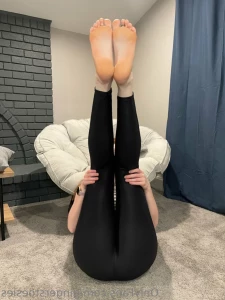 15819372