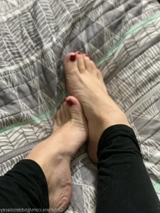 16260069