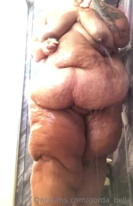 15493349