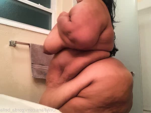 15755626