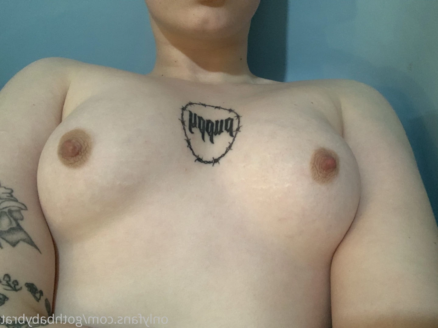 dahlia puppy [ gothbabybrat ] Onlyfans leaked photo 16005687 on Hotleaks.tv