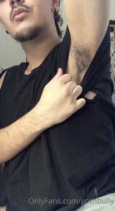 15498987