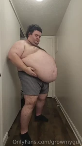 15181918