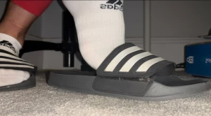 11529364