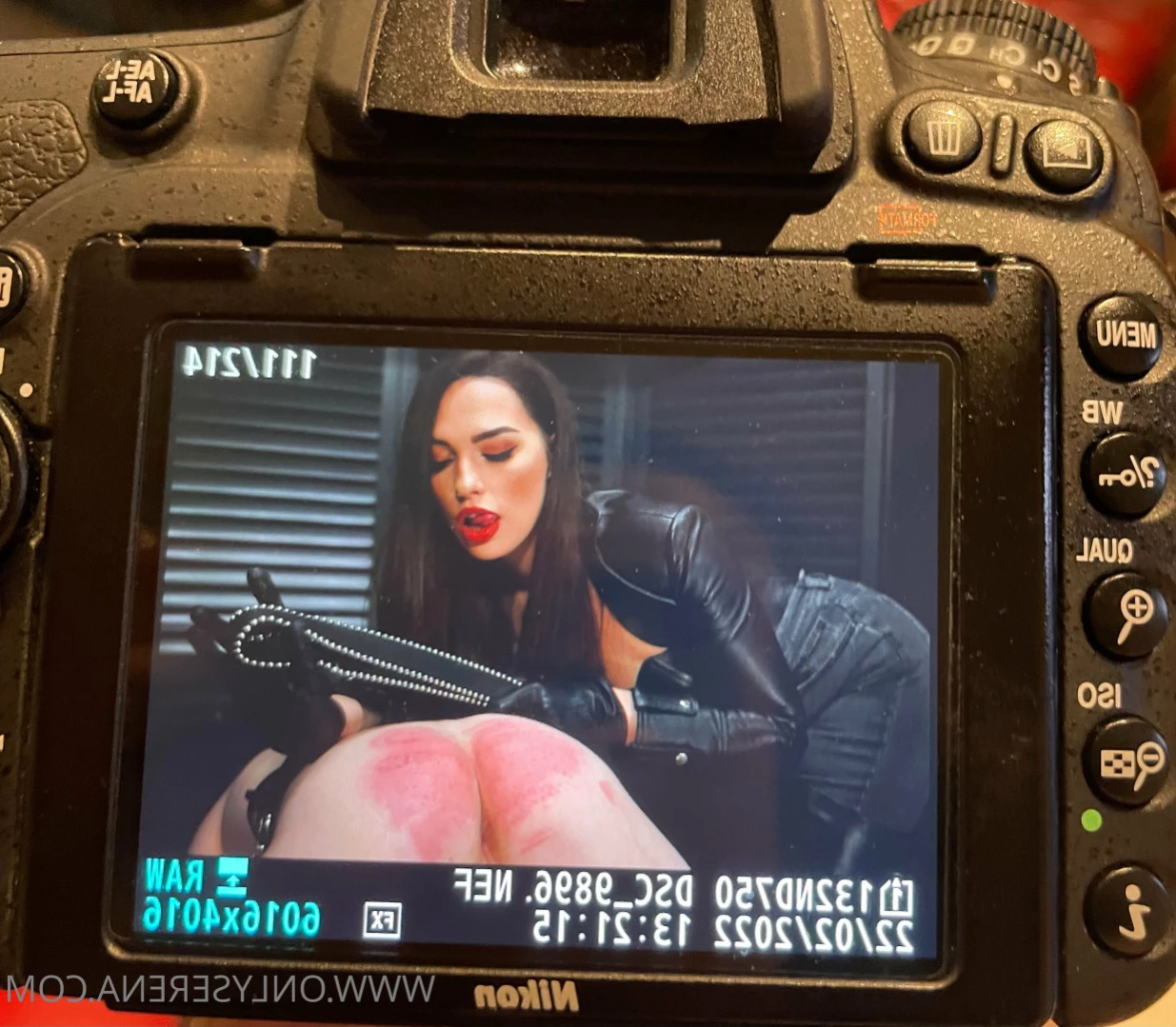 Gynarchy Goddess [ gynarchygoddess ] Onlyfans leaked photo 11543451 on Hotleaks.tv