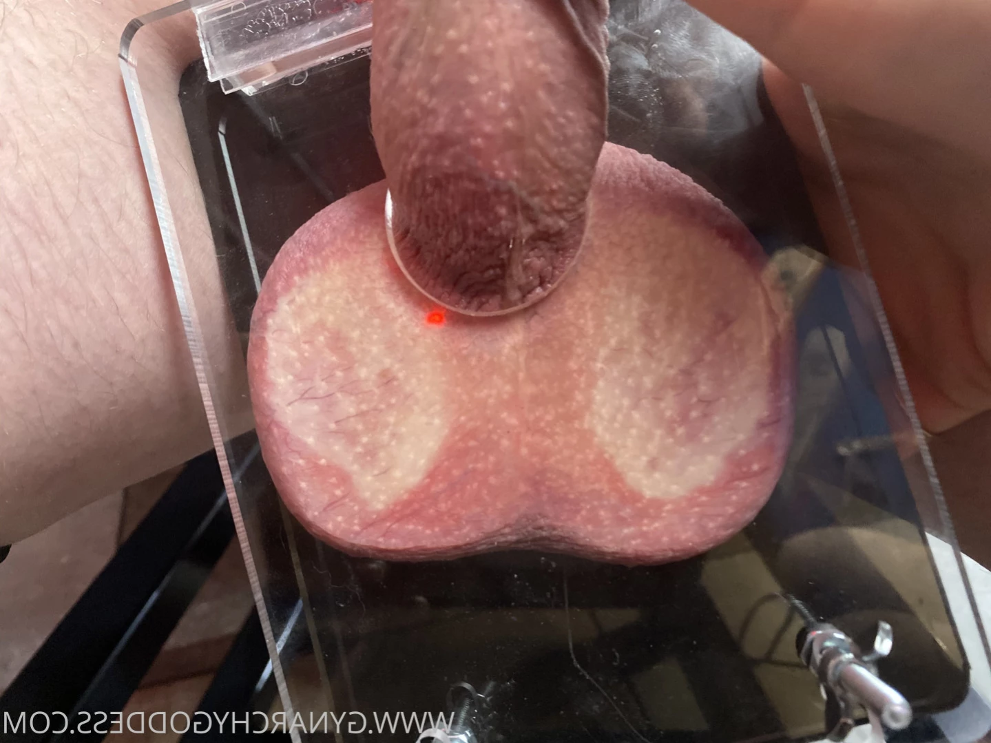 Gynarchy Goddess [ gynarchygoddess ] Onlyfans leaked photo 14092864 on Hotleaks.tv