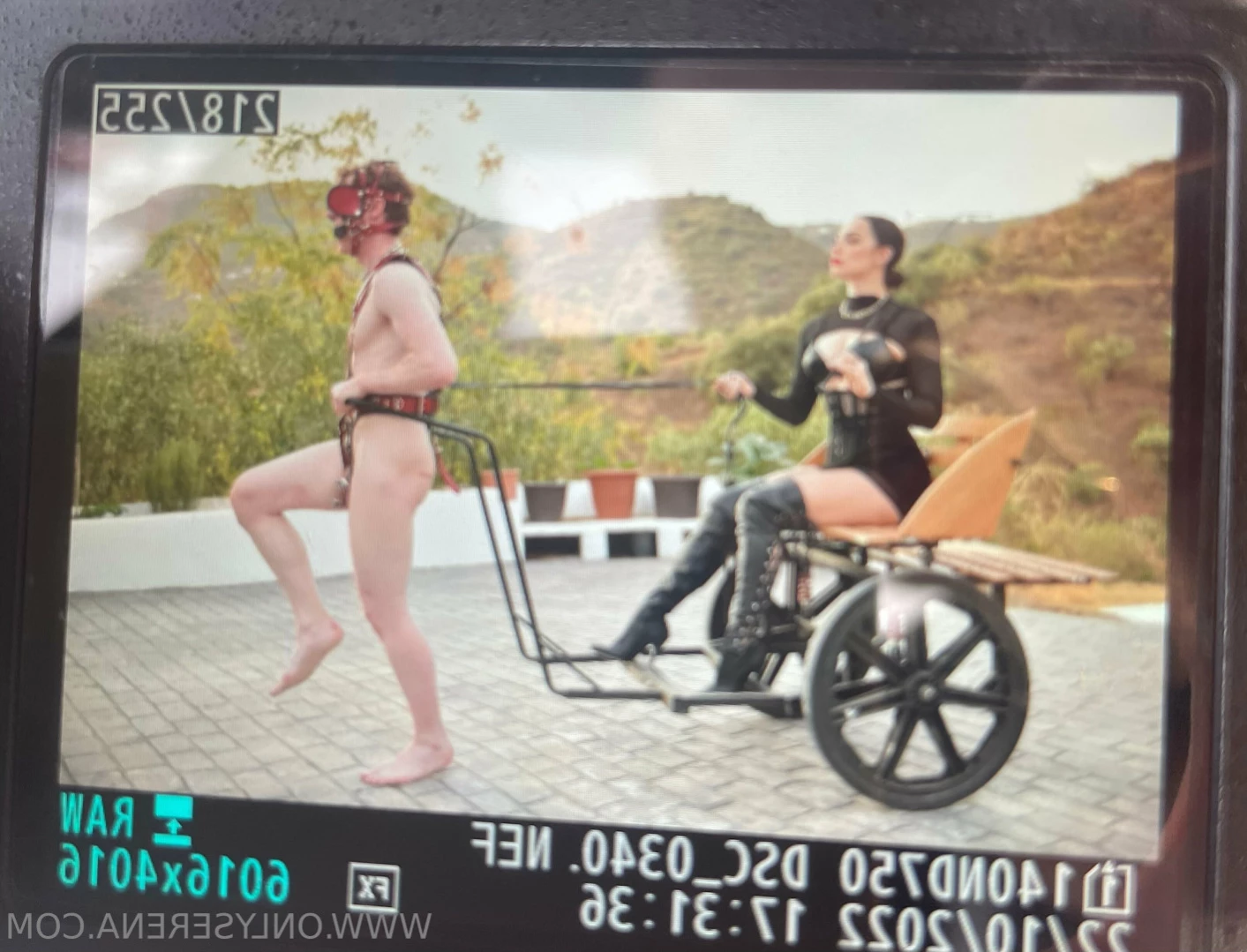 Gynarchy Goddess [ gynarchygoddess ] Onlyfans leaked photo 15284272 on Hotleaks.tv