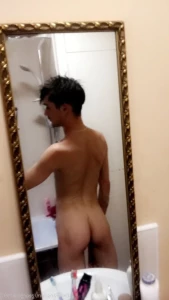 15265231