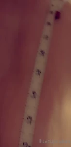 15290151