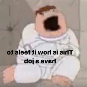 15266334