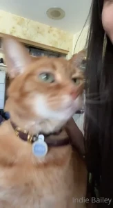 15626772