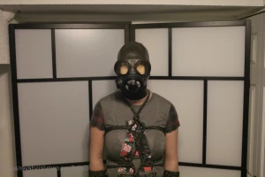 14623746