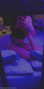 15566196