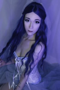 15528913