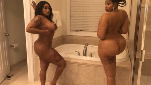 16223160