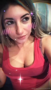 15261282