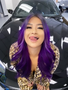 16511908