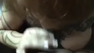 18099409