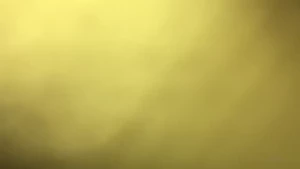 18099428
