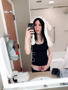 15283316