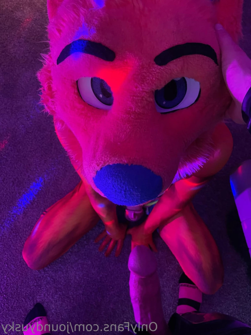 Hound [ houndhuskio ] Onlyfans leaked photo 11197140 on Hotleaks.tv