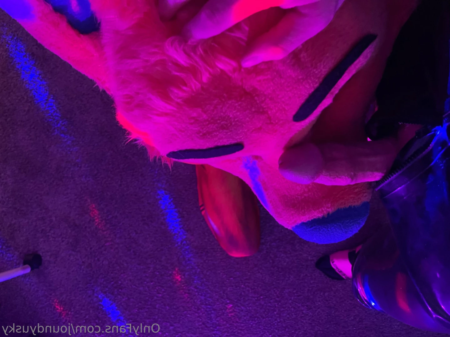 Hound [ houndhuskio ] Onlyfans leaked photo 11852883 on Hotleaks.tv