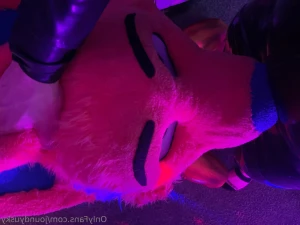 16308750