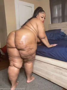 16309511