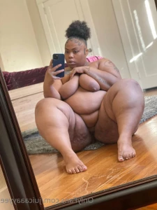 16309648