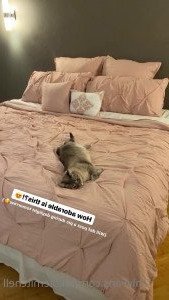 Nikole Mitchell [ 2175 ] Onlyfans leaked video 2534375 on Hotleaks.tv