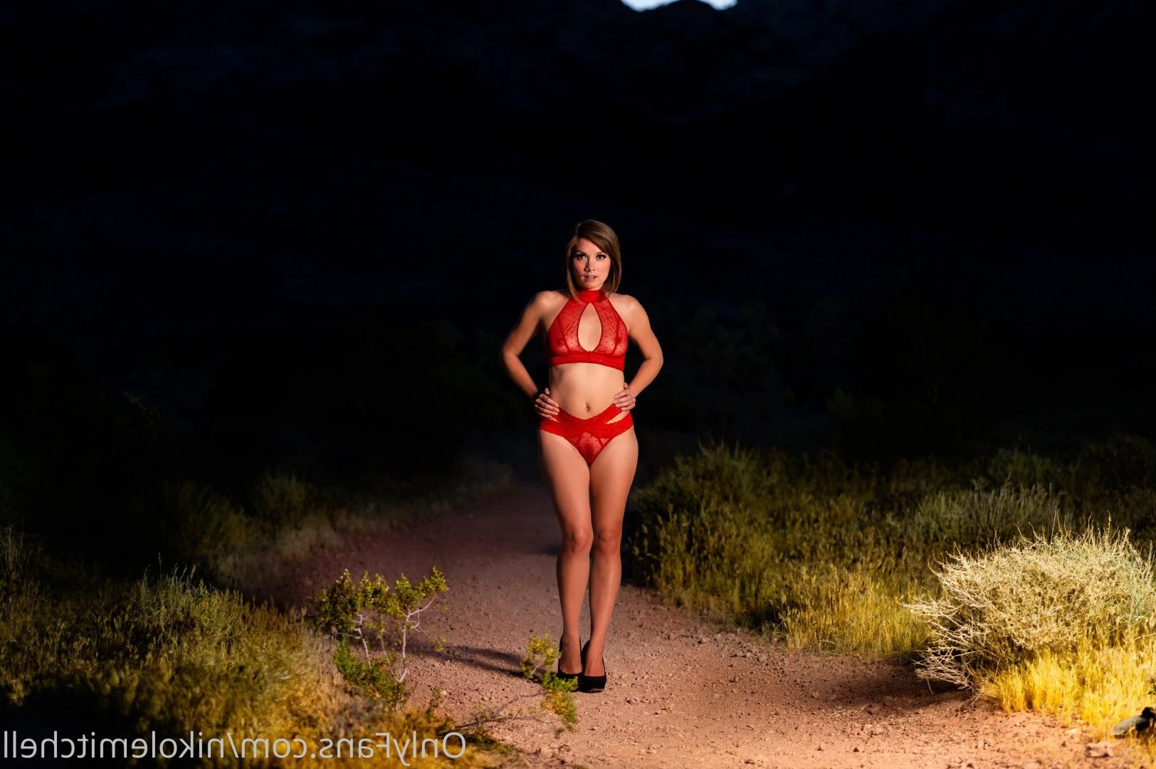 Nikole Mitchell [ 2175 ] Onlyfans leaked photo 4051888 on Hotleaks.tv