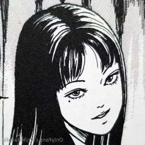 13056556