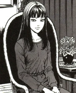 15651958