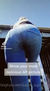 15220087