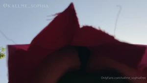 16089635