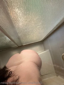 10886608