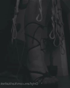 14918818