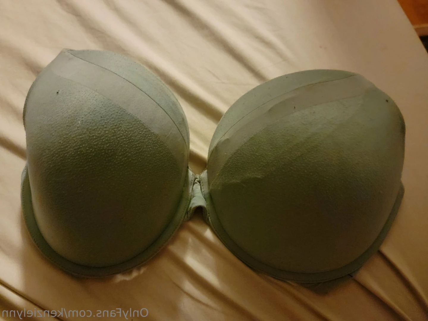 Mackenzie Lynn [ kenzielynn ] Onlyfans leaked photo 11180165 on Hotleaks.tv
