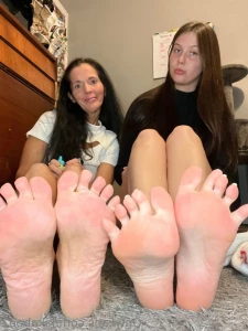 16288532
